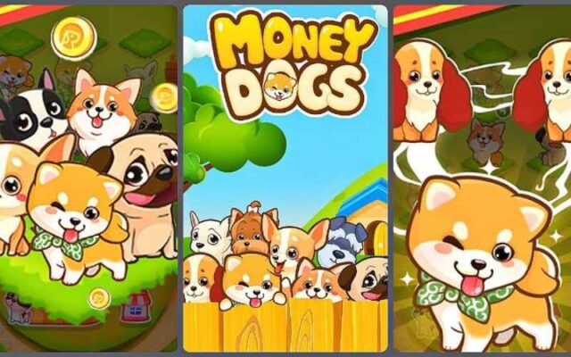 Money Dog game